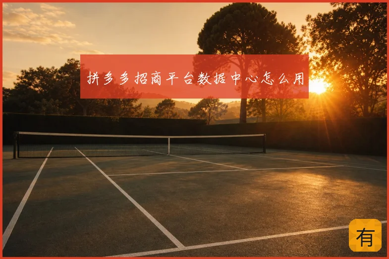 拼多多招商平台数据中心怎么用